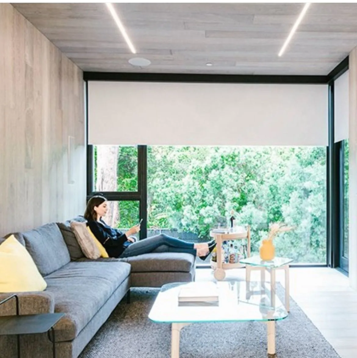 Custom Blinds gallery 3
