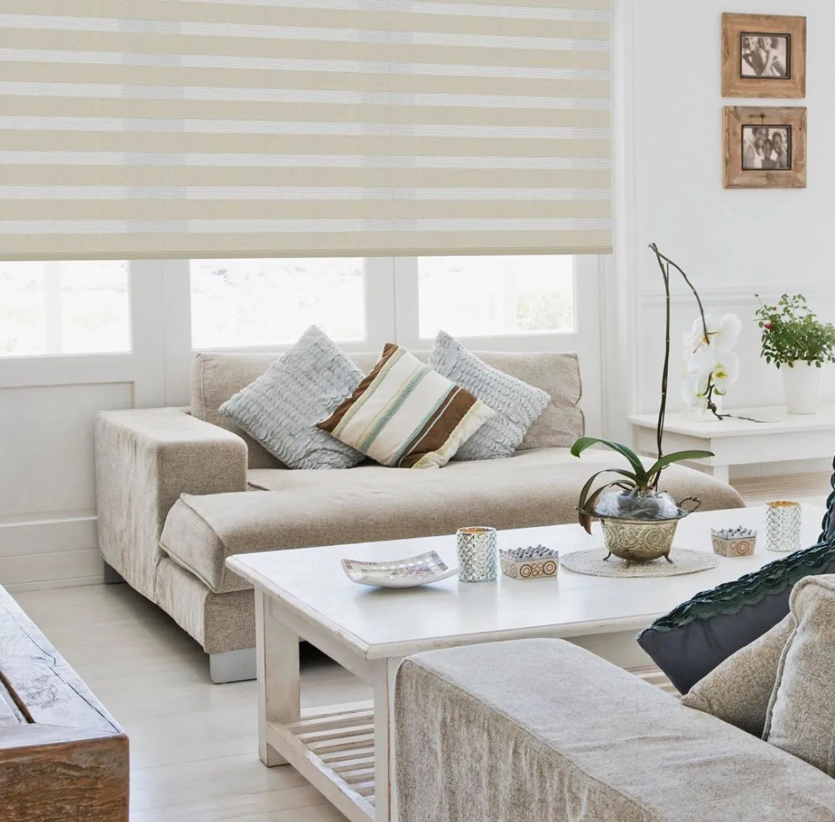 Cortinas Zebra gallery 2